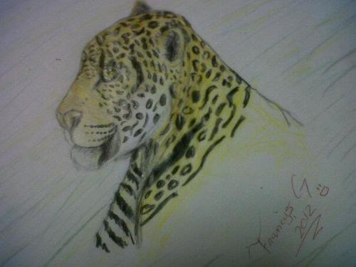 nancyba50810102's profile picture. amante de DIOS de la justicia y la verdad, amo mi entorno amo mi familia mi profesion y mi pais