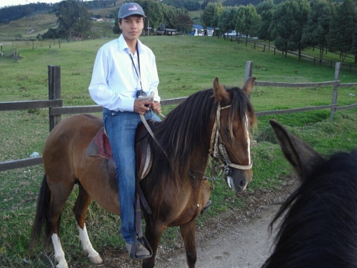 robertocruz1992's profile picture. 