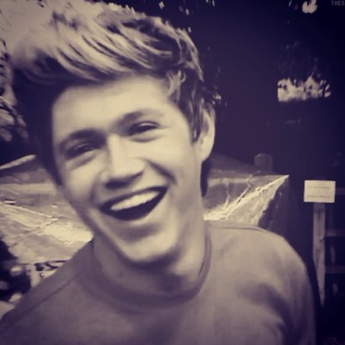 NIALL FOLLOW ME PLEEEAASSE. I LOVE YOU!