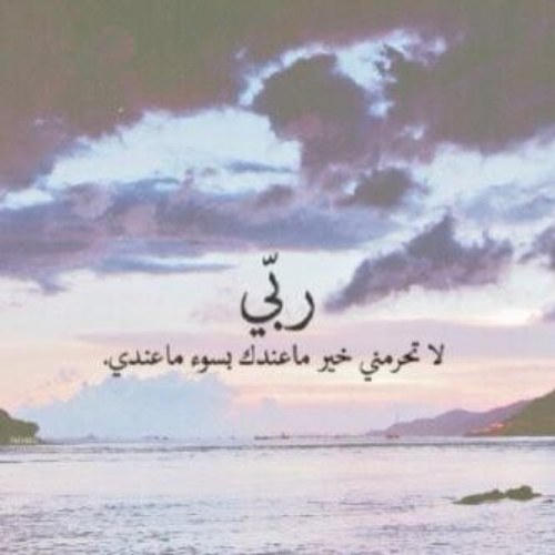 muneerh_57's profile picture. ‏و أذكروا الله كثيراً لعلكم تفلحون ..! حساب مُختص بذكر الله ، لعل هذا الحساب يكون شفيعا لي يوم القيامه ♡