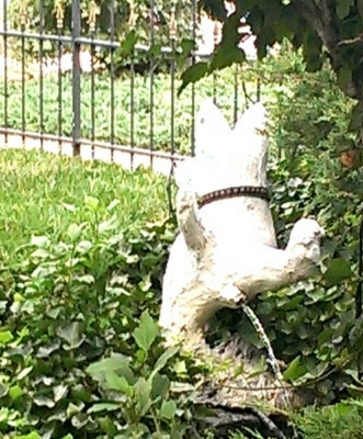 rikkpakk's profile picture. 