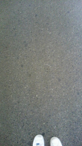 mii_chreey's profile picture. 