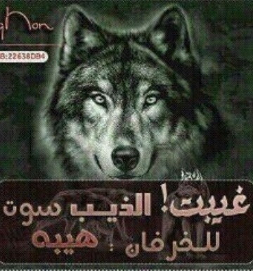 تموت الرجال وتمدح في مقابرها وتعيش الرخوم وتنشتم وهي حيه