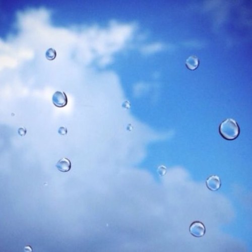 Dongdal's profile picture. 