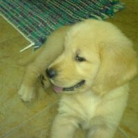 Ruben (@rubenk) 's Twitter Profile