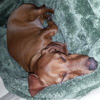 Jennifer Erner (@jlernerin) 's Twitter Profile