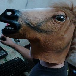 Sempre esqueço as ideias legais pra por na Bio =/