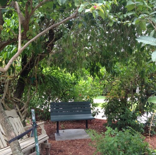 MOALFanClub's profile picture. I'm out of my mind. 
Just an anonymous person sharing their thoughts. 
I just need a diary.