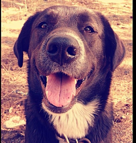 SunshinePorsha's profile picture. 