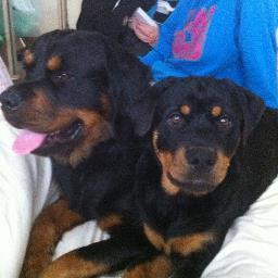 mwhite1911's profile picture. 