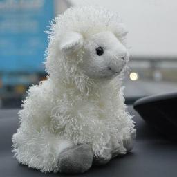 TravelWithEwe's profile picture. I am Barbara. I am a Scottish sheep and I love to travel! #ChildrensBook