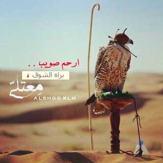 ﴿ توفّني مُسلِماً وألحِقني بالصّالحِين ﴾