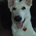 Tom Welsh - @WBArnie_p200_3h - Twitter