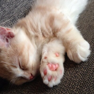 りれこ