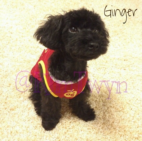 NC || Follow my chagi : @hwangmiyoung93 || Panggil ane taengkiyut /.\