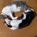 紅蓮 (@0510Guren) Twitter