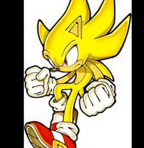 I'm Sonic I have a girlfriend so fuck off nigga or I'll call yo daddy and make your momma shit.