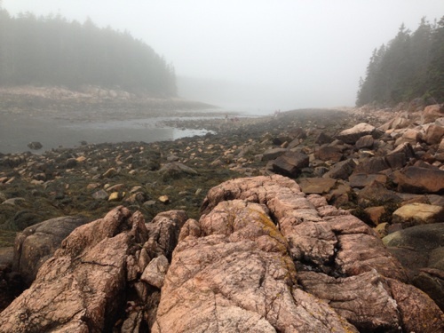 General goofball, and music and movie lover. To tweet with me is to be flummoxed and bewildered. Photo from Seal Harbor, Maine. ig: jhefl67