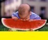 Люблю женщин, SEO и авто #фолловинг #FollowMe #взаимно