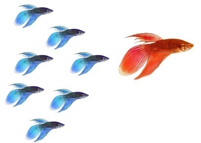 LeadershipBoss's profile picture. 