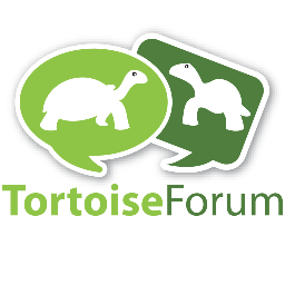 The world's largest pet tortoise website! Join our community! Ask questions, share answers, talk torts!