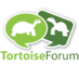 TortoiseForum.org (@tortoiseforum) Twitter profile photo TortoiseForum.org (@tortoiseforum) Twitter profile photo