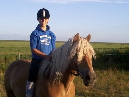 Voor alle paardenlovers! ☯ Sinds 5/8/2013! ☯ Volg ons voor de leukste tweets en wedstrijden! ☯ Beheerder; @daaanfriess! ☯