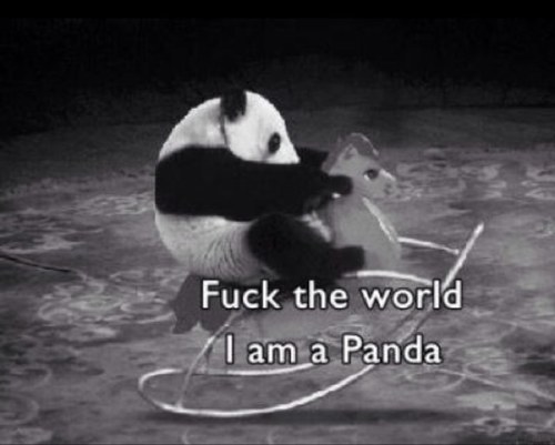 Ptinours72500's profile picture. 