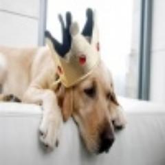 «Империя Фортуны» - это первый интернет-магазин зоотоваров, который по-настоящему думает о своих «покупателях». Звоните +7(495)978-23-18 #ЧитаюВзаимно