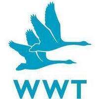 Slimbridge WWT (@slimbridgewwt) 's Twitter Profile