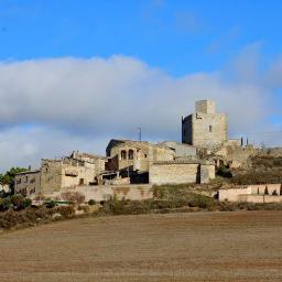 Twitter del petit poble de Malgrat, a la Segarra. Segueix-nos i coneix-nos!