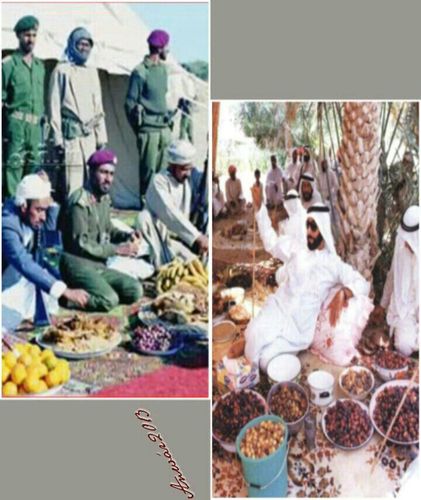 احب الشعر واحب من يحبونه
