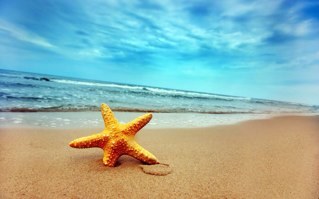 Взаимный фолловинг, и только взаимный. #following #followback. Подписывайтесь на меня, а я взамен буду делать ретвит ваших записей #retwitt #ретвит #ретвитт