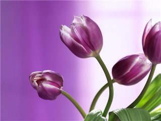Взаимный фолловинг, и только взаимный. Ретвит #ретвит