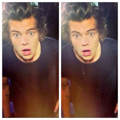 _iHeartHazza's profile picture. ☾Hiiiiiiiiiii. Cute as a button every single one of you☽~Harry gave me a digital shoutout on 06/10/12♥