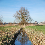 scienceandfun's profile picture. 