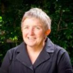 Senior Lecturer in Environmental Engineering, University of the Sunshine Coast