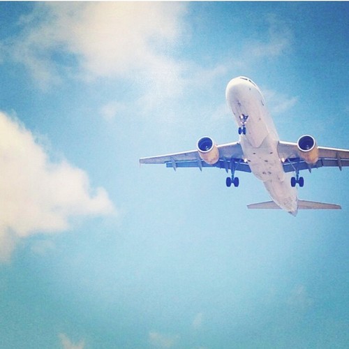 usa_zainab's profile picture. Mrs.Alotaibi💛💍