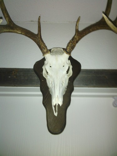 whph77trip's profile picture. 