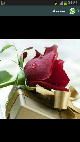 udhdhdhd70's profile picture. 