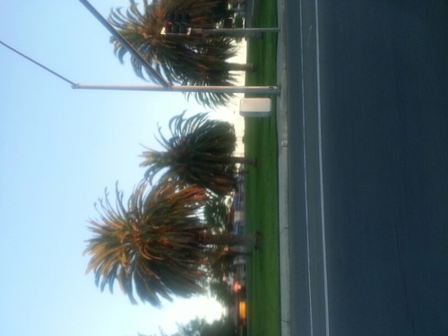 Jessy_Strolin's profile picture. 