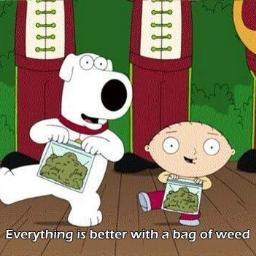 MariooDomi's profile picture. 