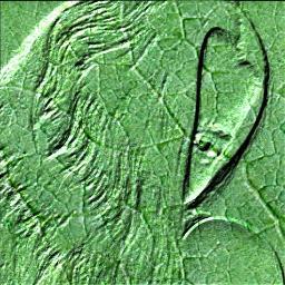 ALmoonsong's profile picture. me, contest and giveaway fanatic