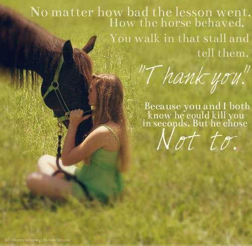 Confidence, Dedication, Determination, Patience & Practice! A female who supports all disciplines. Creator of #TipsForEquestrians! Twitter sis @CountryHorses