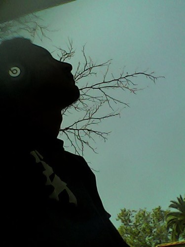 Music is my life