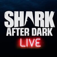 Shark After Dark (@sharkaftrdark) 's Twitter Profile