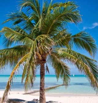 SoMe addict. Lover of music, fun and the beach! Licensed Massage Therapist and promoter of health and wellness.