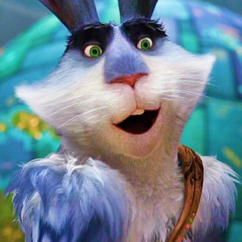 hi Mates is The E. Aster Kangabunny. I'm Six-feet-one, nerves of steel, master of Tai-chi [#ROTG RP]