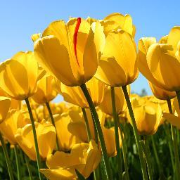 ::Just Be Yourself::Hello New Friends::Thanks For Follow Me , I'm Appreciate It::