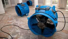 RDC is a family owned water damage restoration business based in Central NJ. Our pride is in a flood cleanup or a mold remediation job done right (908) 253 9000